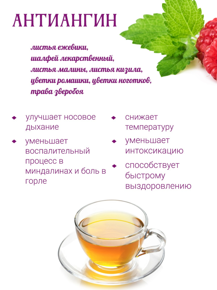Сбор травяной Антиангин № 25, 100 г