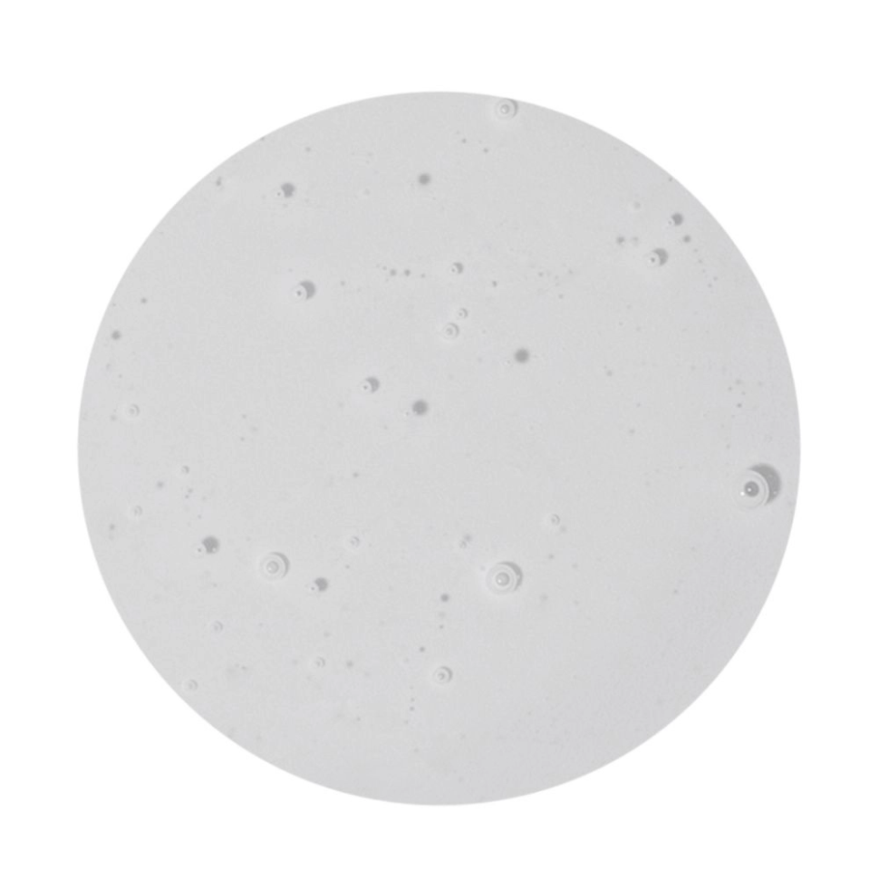 Шампунь для ежедневного применения с пантенолом Daily Care Shampoo, 250 мл